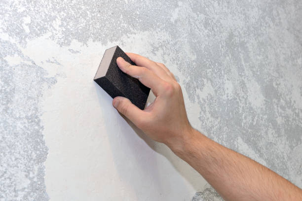 Best Mold Odor Removal Services  in Sheridan, WY