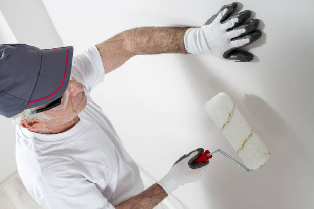 Best Mold Documentation for Insurance Claims  in Sheridan, WY