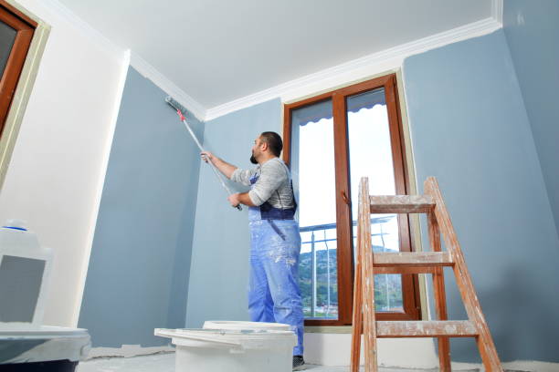 Best Attic Mold Removal  in Sheridan, WY