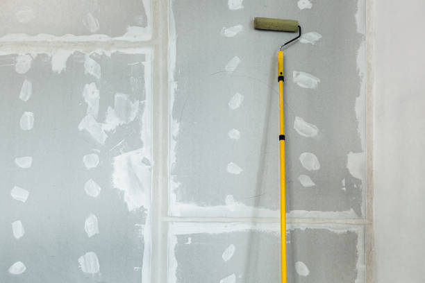 Best Mold Removal for HVAC Installations  in Sheridan, WY
