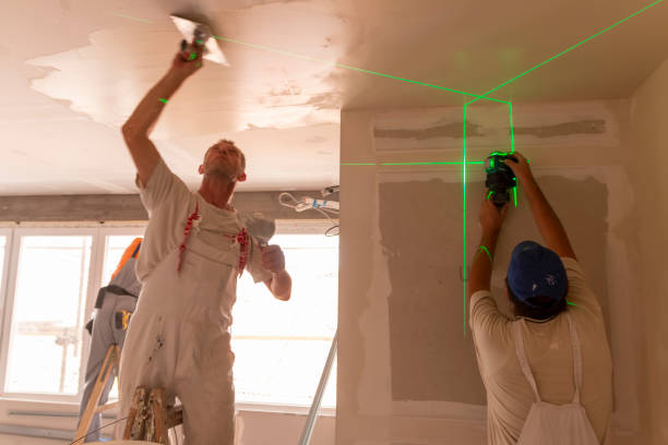 Best Crawl Space Mold Remediation  in Sheridan, WY