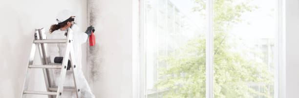 Best Residential Mold Inspection & Testing  in Sheridan, WY