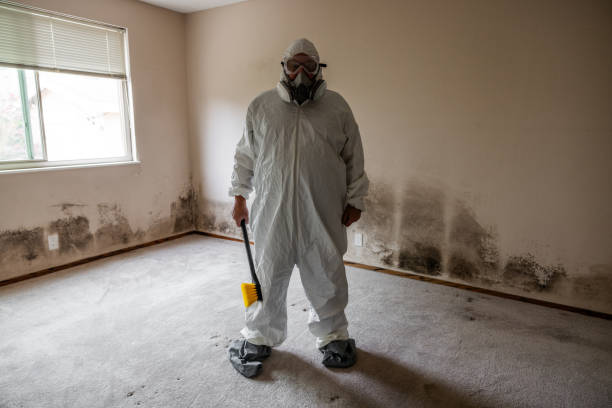 Best Dehumidification Services  in Sheridan, WY