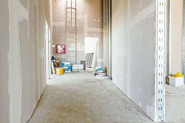 Best Mold Remediation for Vacation Homes  in Sheridan, WY