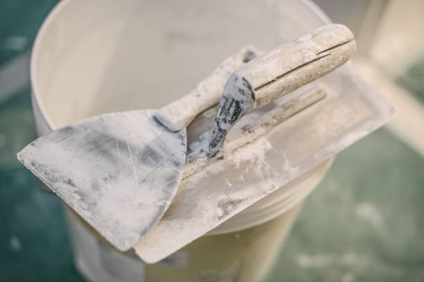 Best Mold Documentation for Insurance Claims  in Sheridan, WY