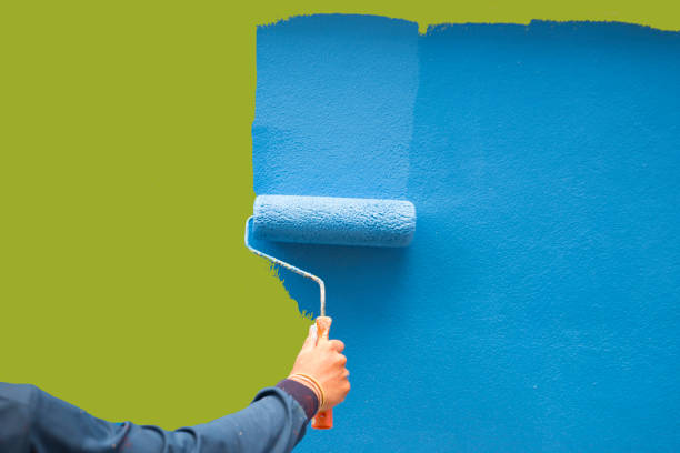 Best Black Mold Removal  in Sheridan, WY