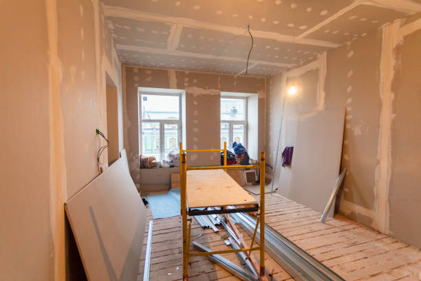 Biohazard Mold Removal in Sheridan, WY